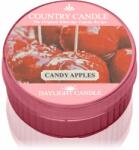 The Country Candle Company Candy Apples teamécses 42 g