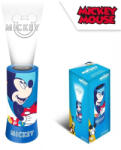 Max-F Disney Mickey 2 az 1-ben kivetítő, lámpa, éjszakai fény (861397) - jatekrt