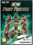 THQ Nordic AEW Fight Forever (PC)