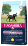 EUKANUBA Puppy Large 2x18 kg