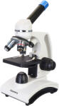 Levenhuk Discovery Femto Polar (77986)