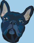  Festés számok szerint - Francia bulldog 4 Méret: 40x50cm, Keretezés: Keret nélkül (csak a vászon)