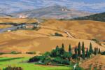  Festés számok szerint - Toszkána, Olaszország Méret: 40x60cm, Keretezés: Keret nélkül (csak a vászon)