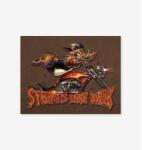 Tac Signs - Plăcuță metalică decorativă [32x41cm] - Sturgis Modern Boar (DCC-TACD1399)