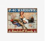 Tac Signs - Plăcuță metalică decorativă [32x41cm] - P-40 Warhawk Pin-Up