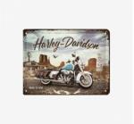Tac Signs - Plăcuță metalică decorativă 3D [15x20cm] - Harley Police (DCC-TACS3D26255)
