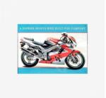 Tac Signs - Plăcuță metalică decorativă [30x41cm] - Kawasaki Ninja ZX9R (DCC-TACJO50917)