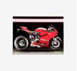 Tac Signs - Plăcuță metalică decorativă [30x41cm] - 1199 Panigale R (DCC-TACJO50910)