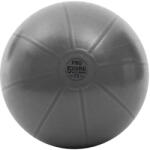 TOORX Gym Ball PRO fitnesz labda 75 cm