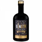  GINSTR Winter Gin 0, 5L 44% - mindenamibar