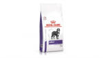Royal Canin Veterinary Diet Large Adult 13 Kg