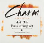 For-Tune CHARM Bass ORCHESTRA 4/4-3/4 SET