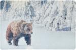 4-Home Covoraș de intrare Ursul, 38 x 58 cm Pres