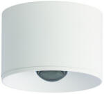 ZAMBELIS LIGHTS ZAMBELIS-S132 Fehér Színű Kültéri Mennyezeti Lámpa LED 12W IP54 (S132)