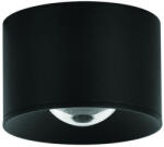 ZAMBELIS LIGHTS ZAMBELIS-S131 Fekete Színű Kültéri Mennyezeti Lámpa LED 12W IP54 (S131)
