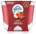 Glade Cosy Apple & Cinnamon lumânare parfumată 224 g