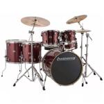  Ludwig-LCEE622025 Element Evolution Drive set - Red Sparkle, 6 db-os (22-10-12-14-16-14S)