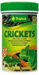 Tropical Crickets 250ml