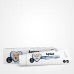 Aptus Recovery Booster Dog lábadozást elősegítő paszta 100 g
