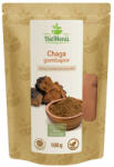 BioMenü bio Chaga ciupercă pudră 100 g