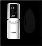 Pierre René PROFESSIONAL Lac de unghii - Pierre Rene UV/LED Hybrid Color Polish New Formula 047