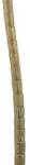 där lighting group Lampadar de podeaCoco Floor Lamp Antique Gold With Shade (COC4935 DAR LIGHTING)