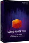 MAGIX Sound Forge Pro 16