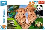 Trefl Animal Planet - Csodálatos természet 100 db-os (16424)