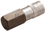 BGS technic Behajtófej | 6, 3 mm (1/4") | Belső hatszögletű 12 mm - BGS 2161-12 (BGS 2161-12)
