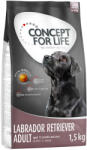 Concept for Life Concept for Life Labrador Retriever Adult - 4 x 1, 5 kg