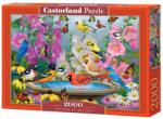 Castorland Puzzle Castorland din 2000 de pieces - Ritmul naturii (C-200818-2) Puzzle