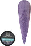 Global Fashion Gel unghii, vopsea de arta, Painting+Stomping, Global Fashion, 5g, 05