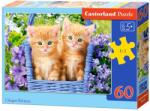 Castorland Puzzle Castorland din 60 de piese - Baby Kittens (B-066247-1) Puzzle