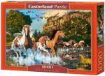 Castorland Puzzle Castorland din 1000 de piese - Cai în râu (C-104789-2) Puzzle