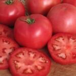 Agro Pataki Seminte - Tomate Lillagro 3000sem (3507)