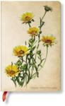 Paperblanks butikkönyv Woodland Daisies mini vonalas (9781439735756)