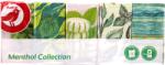 Auchan Kedvenc Mentol illatú 4 rétegű papír zsebkendő 10 x 10 db/ csomag