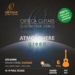 Ortega ATG44NH - kytary