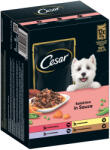 Cesar 96x100g Cesar hús- és zöldségválogatás szószban nedves kutyatáp