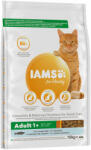 Iams 2x10kg IAMS Advanced Nutrition Adult Cat tengeri hal száraz macskatáp