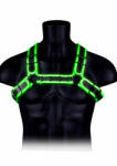 Ouch! Glow in the Dark Buckle Bulldog Harness L/XL