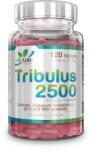 Vitalab-Natural Tribulus 2500 120db