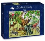Bluebird Puzzle Sivatag 1000 db-os (70476)