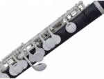 Pearl 105E piccolo - hangszertar