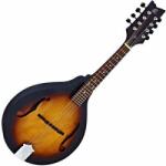  Ortega RMA5VS mandolin