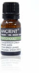 Ancient Wisdom Bio Pacsuli illóolaj 10 ml