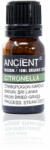 Ancient Wisdom Bio Citronella Illóolaj 10ml