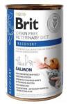 Brit Veterinary Diet Recovery Salmon nedves eledel kutyáknak és macskáknak 400 g