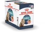 Royal Canin Hairball care szószos alutasakos eledel 12x85g