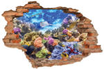 4 Decor Sticker cu efect 3D - Viata subacvatica